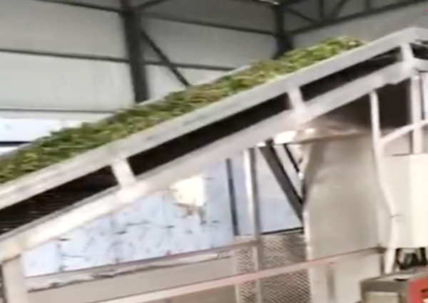 烘干流水线应用(图1)